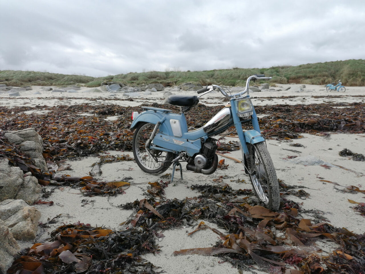 La Mob Est Dans Le Pré Mobylette et Solex à la location en Bretagne - La mob est dans le pré